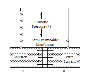 Reverse Osmosis