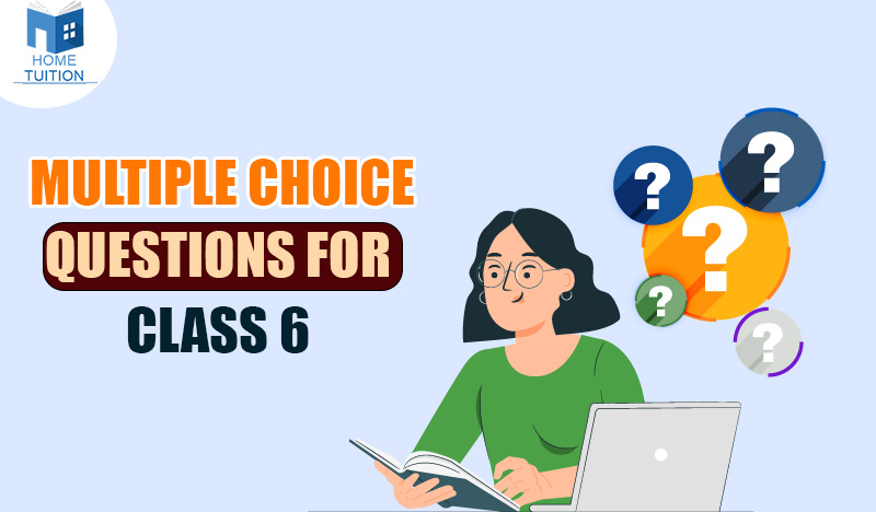 MCQ for Class 6