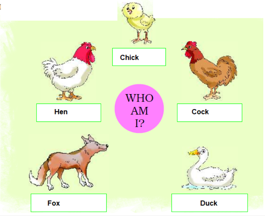 Give the animals the right names