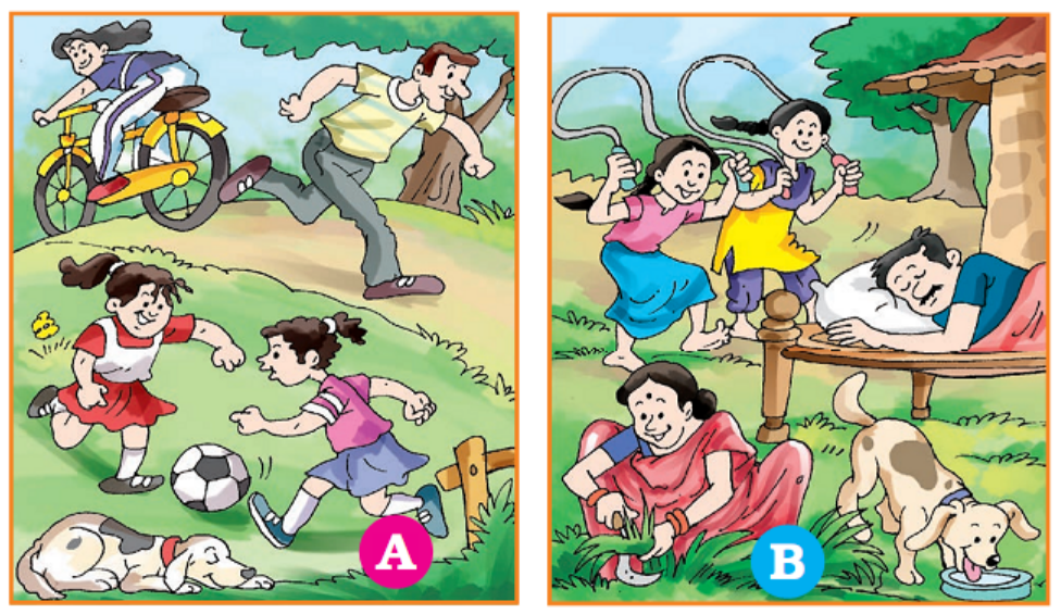 Under picture A and B sentences describe 