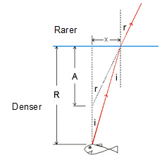 Rarer and Denser