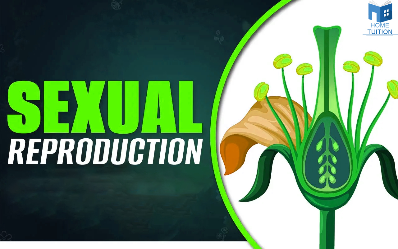 Sexual Reproduction