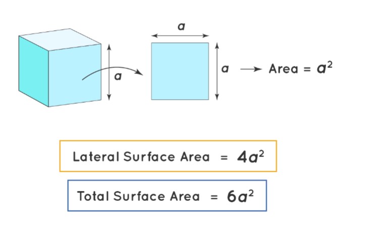 Total Surface Area of Hemisphere