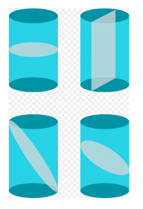 Transverse Cross Section