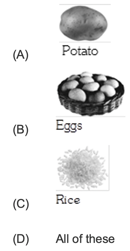 potato-egg-rice