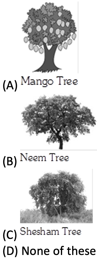 neem-mango-shesham-tree