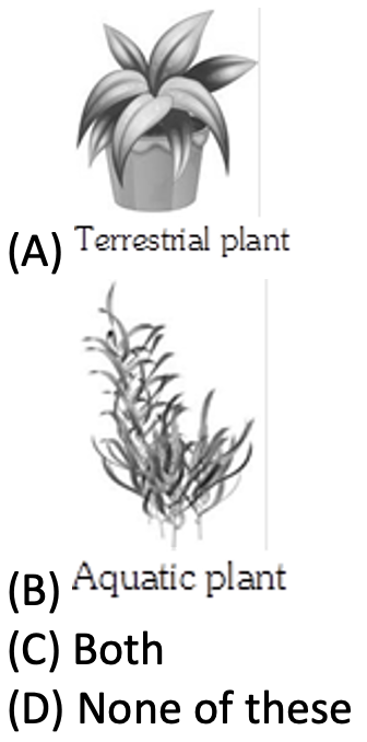 terrestrialplants-aquaticplants
