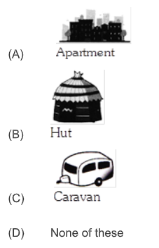 house-hut-carvan