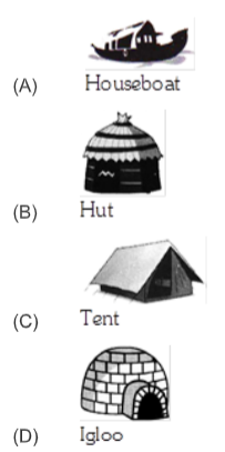 houseboat-hut-tent-igloo