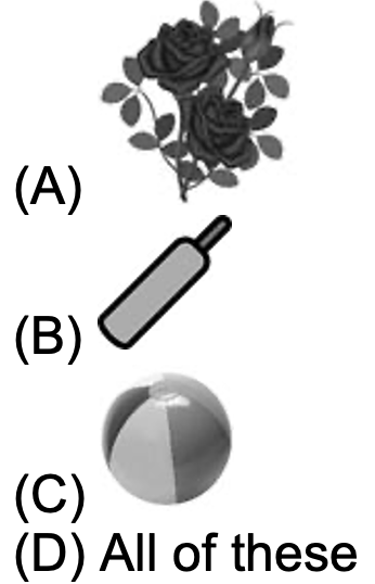 flowers-bat-ball-objects