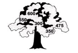 Worksheet for class 2 chapter 14 Tree